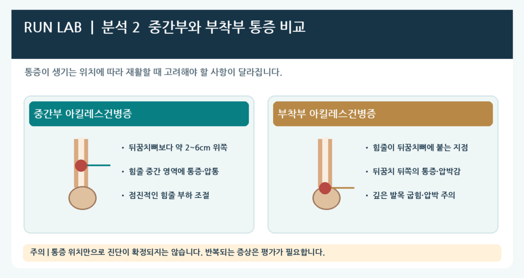 분석 2 | 아킬레스건 통증 위치별 비교
