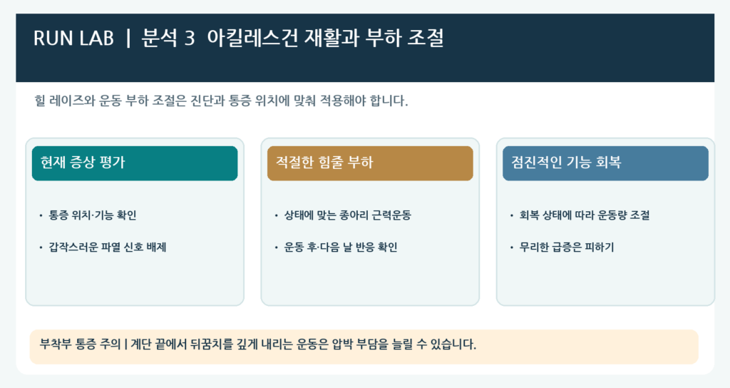 분석 3 | 아킬레스건 부하와 재활 운동

