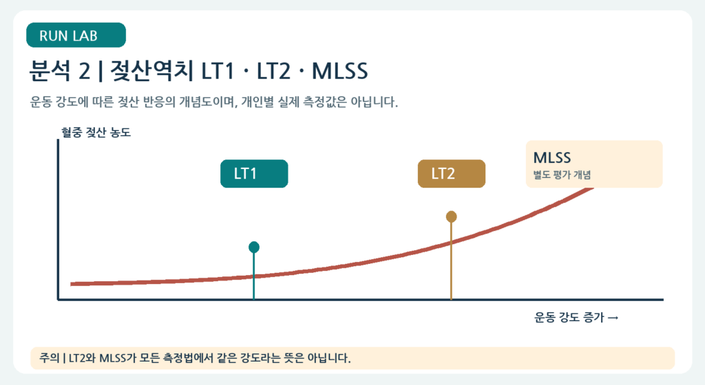 분석 2 | 젖산역치 LT1·LT2·MLSS 비교
