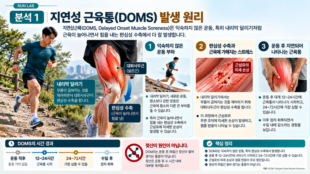 지연성 근육통(DOMS) 발생 원리